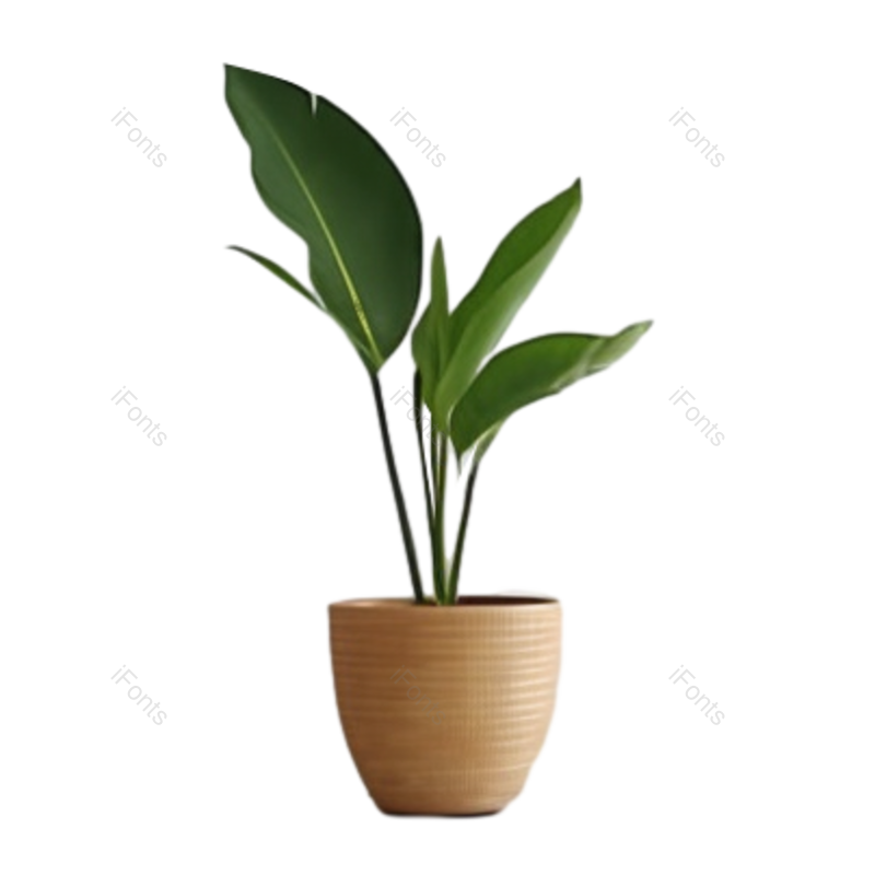 现代图片,白色元素,花盆PNG,窗口免抠素材